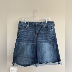 American Eagle Outfitters Dark Blue Flare Jeans